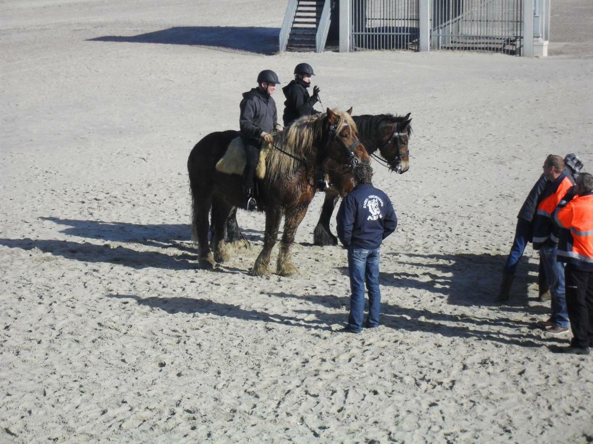 Tante Truus, een Torenhoeve appartement Nieuw-Haamstede Buitenkant foto